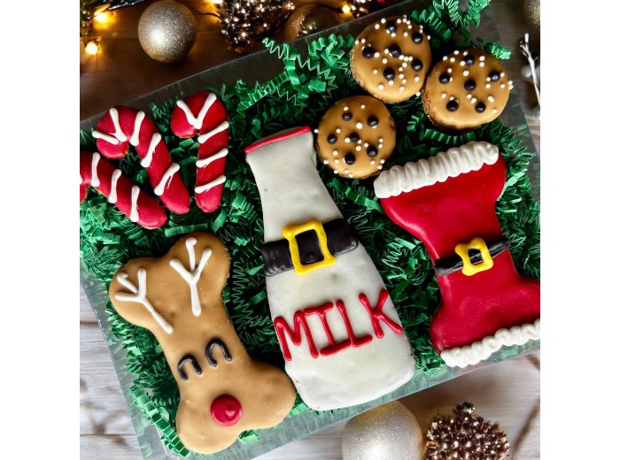 Treats for Santa Paws & Friends dog treats GIFT BOX