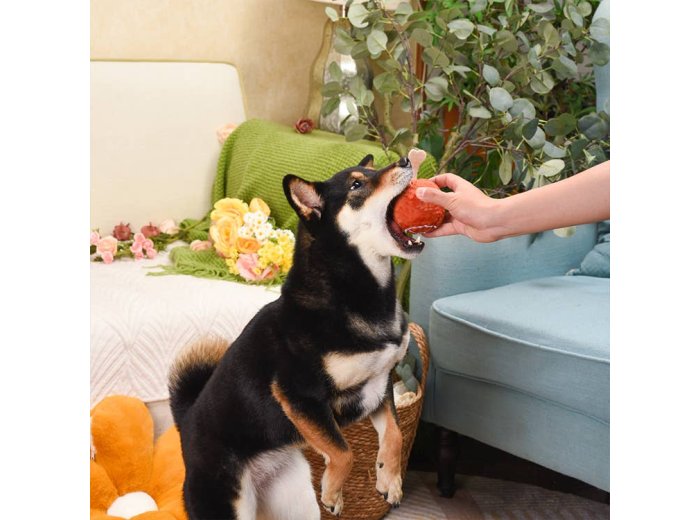 HugSmart Pet - Food Party | Ham - Dog Ball Toy