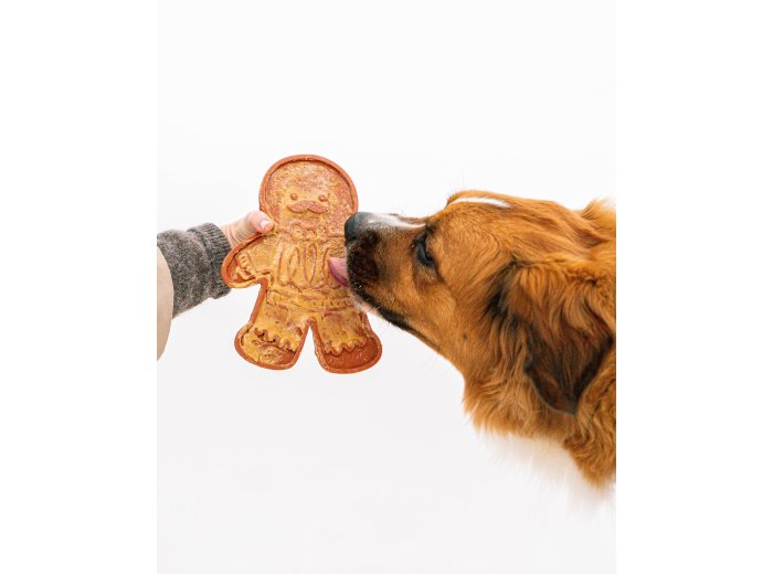 2 Piece Gingerbread Man & Spatula Set