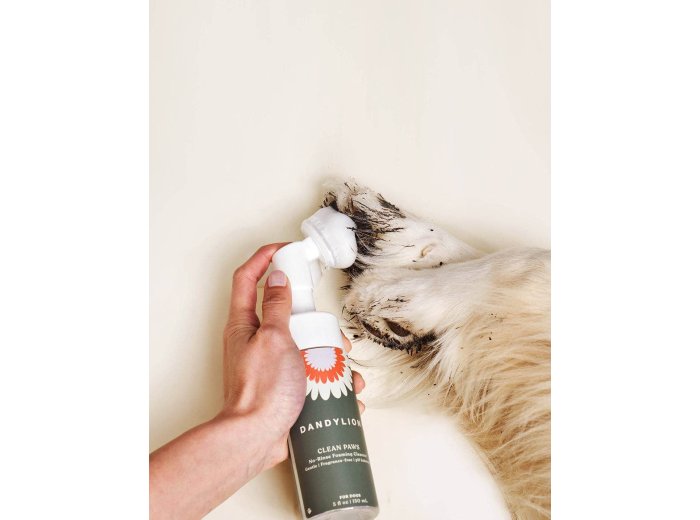 Clean Paws No-Rinse Foaming Cleanser