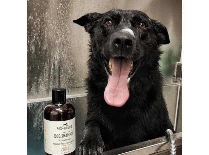 WHOLESALE DOG SHAMPOO + CONDITIONER FOX + HOUND ARGAN & AMBER
