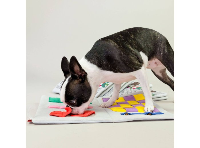 Newspaper Nosework Toy