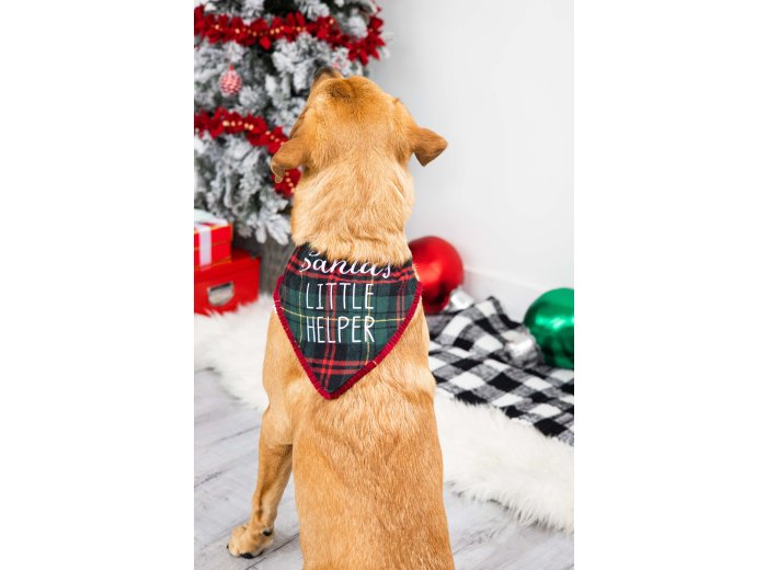 Santa's Little Helper Christmas Dog Bandana, M/L