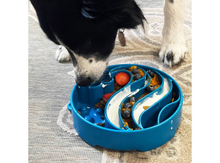 Wave Design eBowl Enrichment Slow Feeder Bowl for Dogs