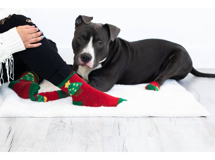 Human and Dog Matching Christmas Sock Set, Christmas Tree