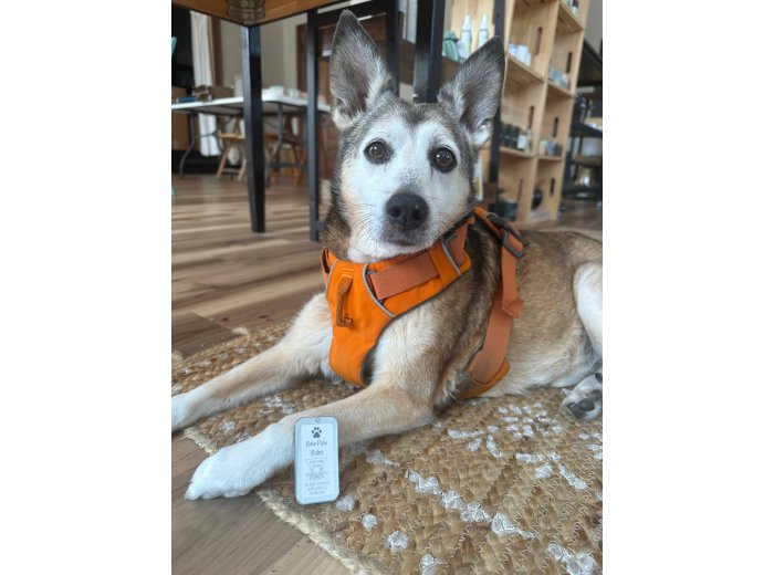 Raw Paw Balm