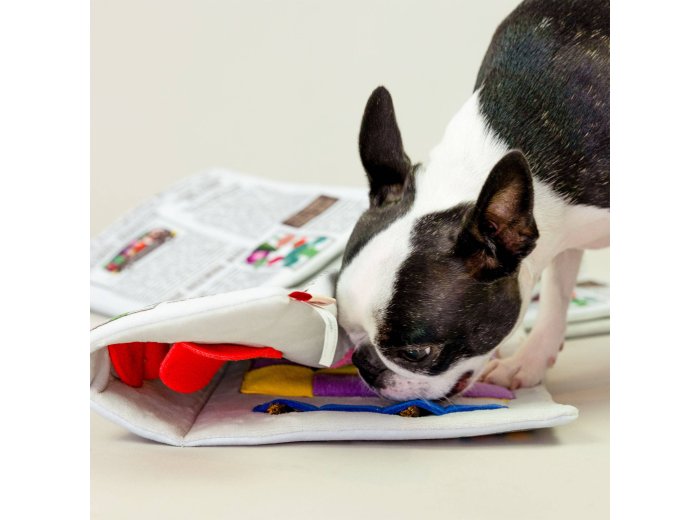 Newspaper Nosework Toy