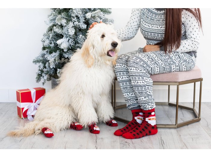 Human and Dog Matching Christmas Sock Set, Santa