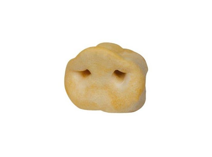 Puffy Pig Snouts