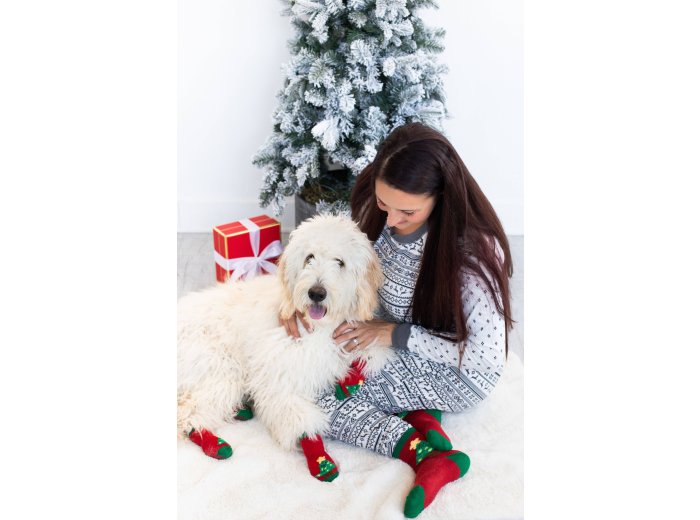 Human and Dog Matching Christmas Sock Set, Christmas Tree