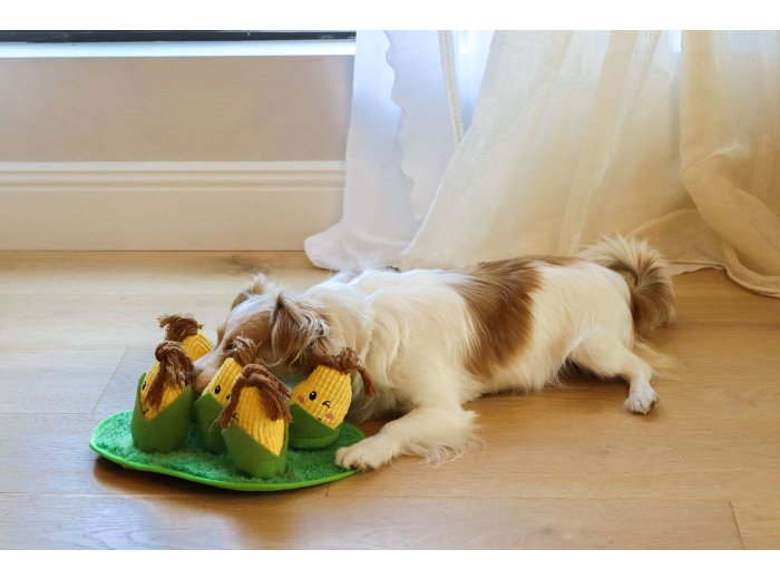 Corn Maze Snuffle Toy