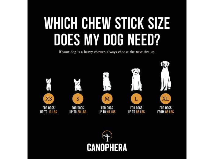 Dog Chew Stick Made of Coffee Wood.