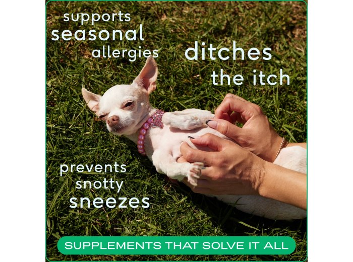 Allergy & Immune Chews, an Allergy & Itch Relief Supplement 120ct
