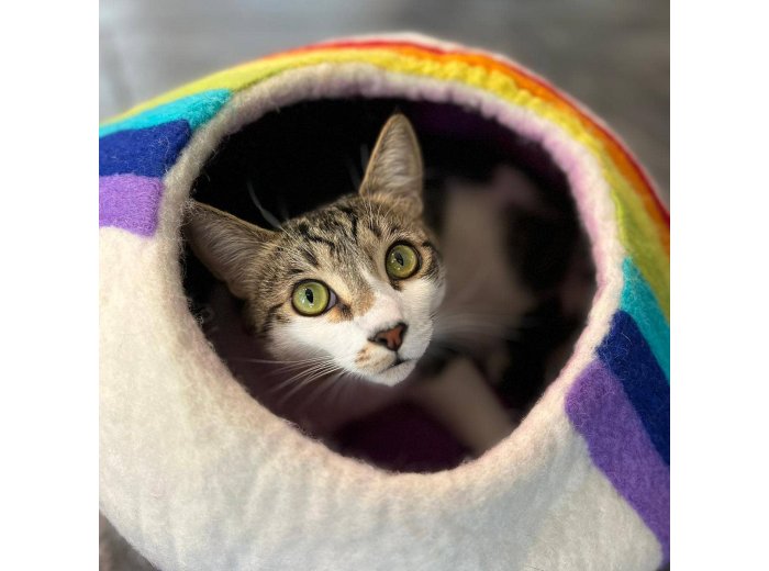 Rainbow Eco Kitty Cave - Cat Cave PACKAGE FREE (NO bag)