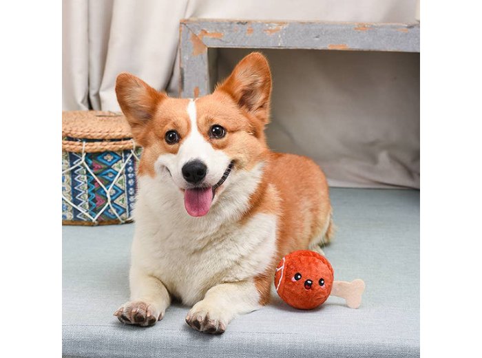 HugSmart Pet - Food Party | Ham - Dog Ball Toy