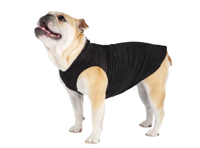 Stretch Fleece Sizes 14-30 Gold Buffalo Check