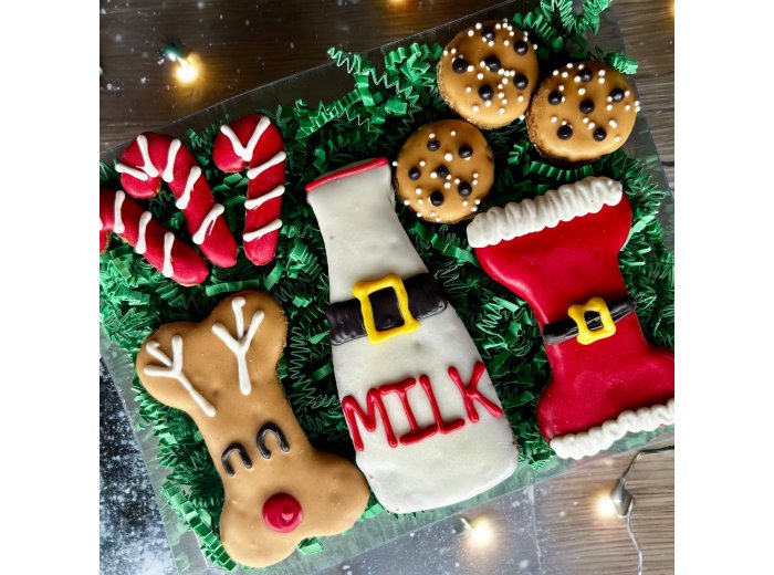 Treats for Santa Paws & Friends dog treats GIFT BOX