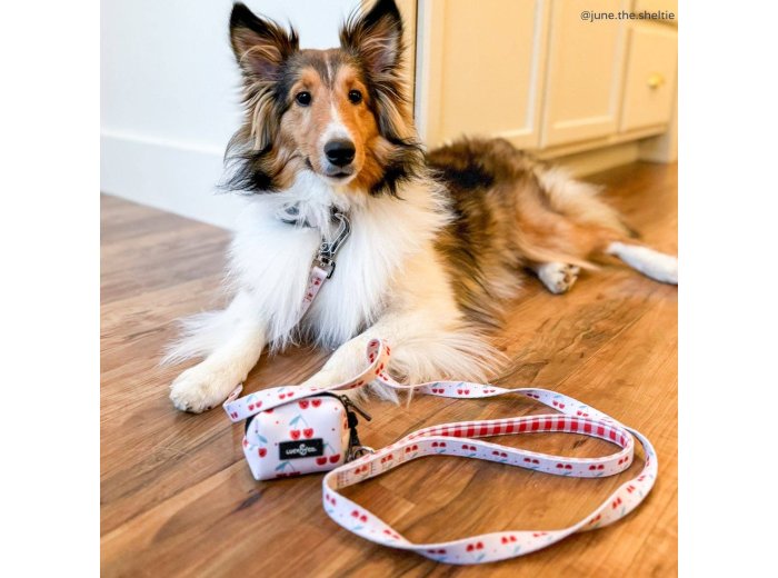 The Cheery Cherries Poop Bag Holder