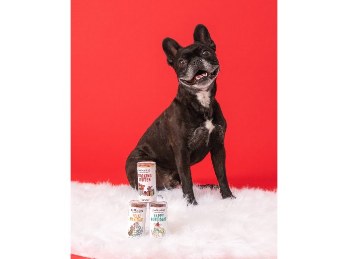 Holiday Mini Tube: Feliz Navidad - Dog Treats