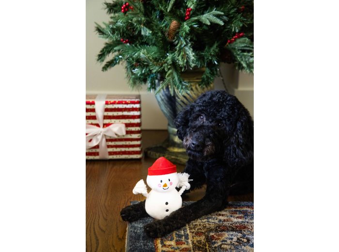 Snowman Plush Rope Christmas Dog Toy
