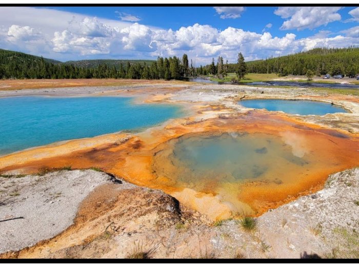 Spray Cologne For Dogs - Yellowstone - National Park Series
