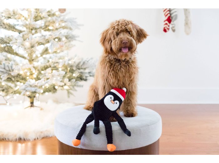 Holiday Crinkle - Penguin - Small - Happy Hour Crusherz - Holiday (3-pack) - Christmas Dog ToyDog Toy