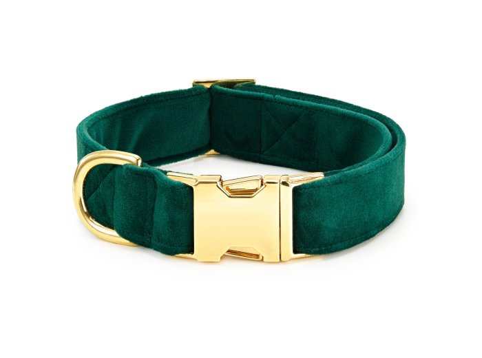 Forest Green Velvet Holiday Day Dog Collar M Gold