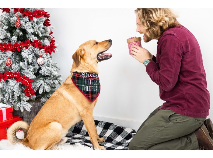 Santa's Little Helper Christmas Dog Bandana, M/L