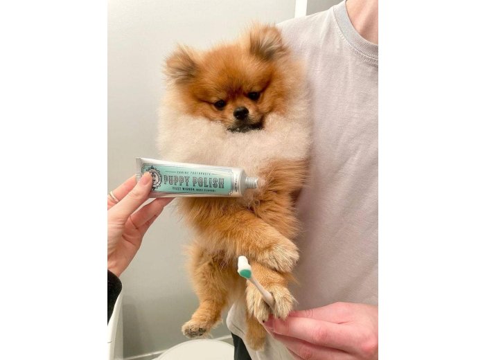 Puppy Polish Toothpaste - Filet Mignon (Beef)