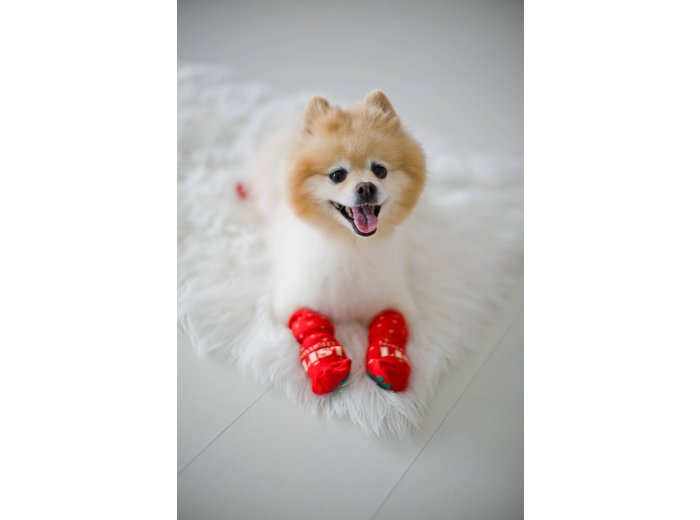 Nice & Naughty List Human & Dog Christmas Sock Set