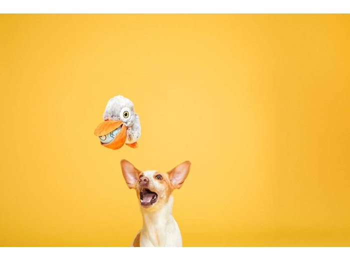 BARK Big Bill & Beak-A-Boo Fish