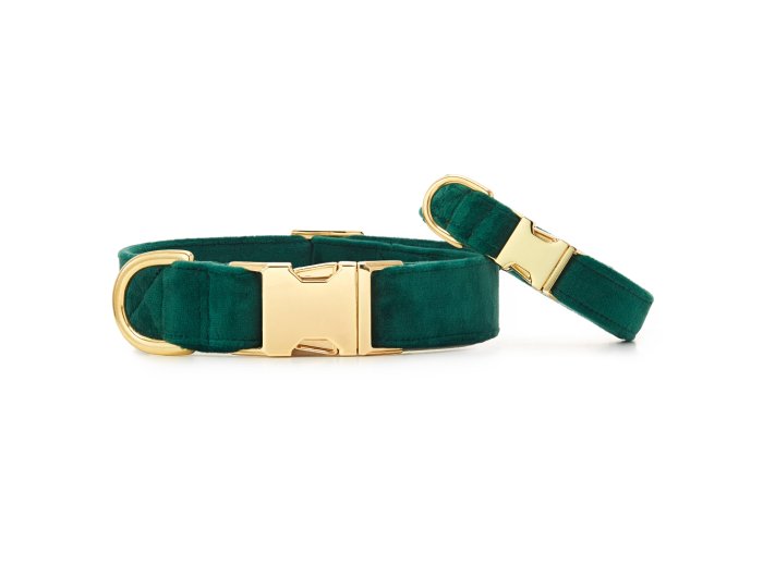 Forest Green Velvet Holiday Day Dog Collar M Gold