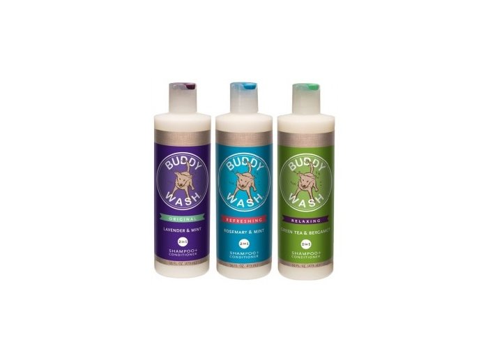 Buddy Biscuits Buddy Wash 2-in-1 Shampoo + Conditioner 16oz Green Tea & Bergamot
