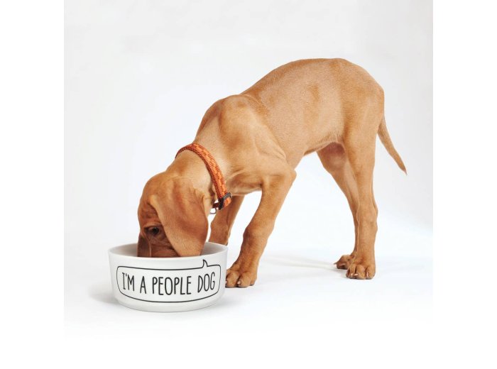 Howligans - Mug + Dog Bowl - Dog Person