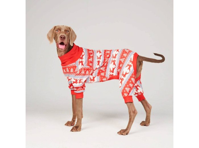 Dog Christmas Pajama - Winter Wonderland M