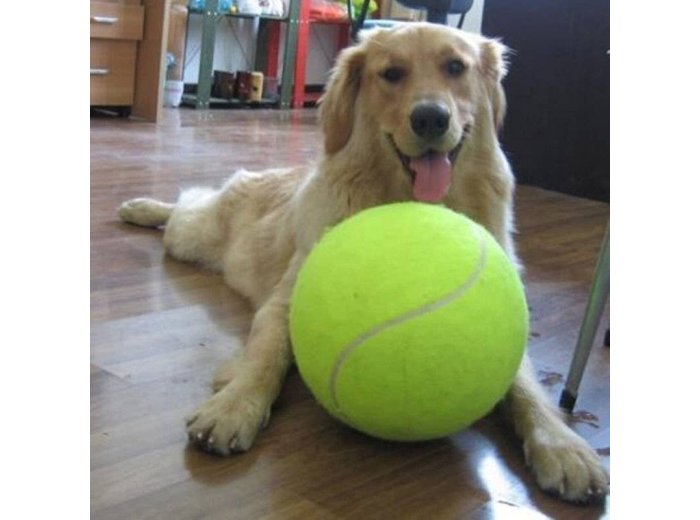 Jumbo Tennis Ball
