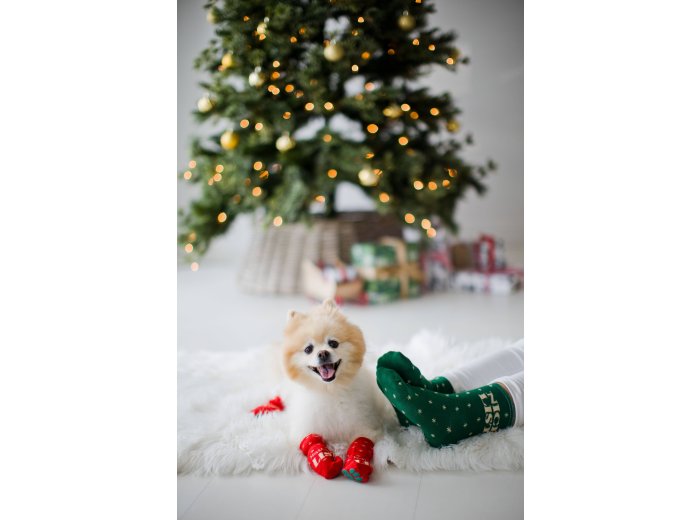 Nice & Naughty List Human & Dog Christmas Sock Set