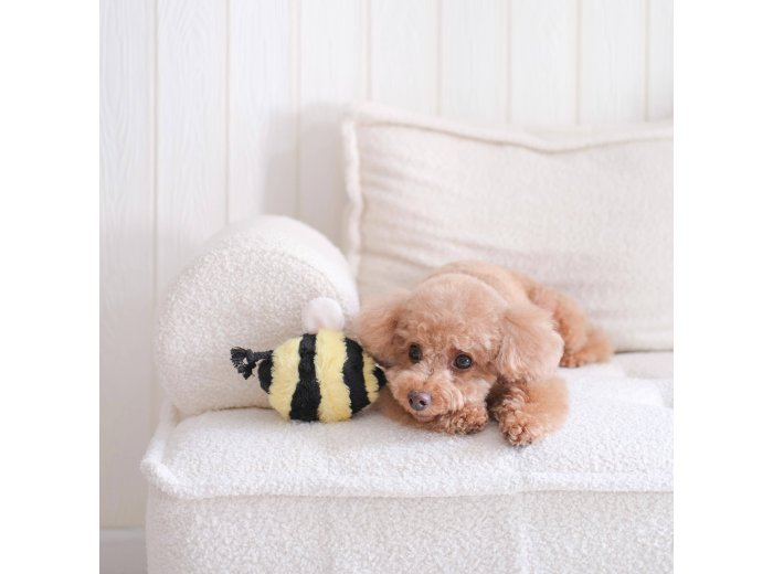 WHOLESALE BEE POP
