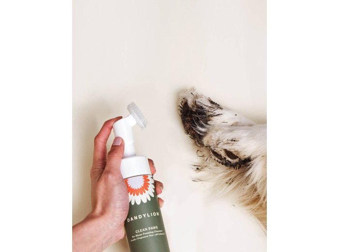 Clean Paws No-Rinse Foaming Cleanser