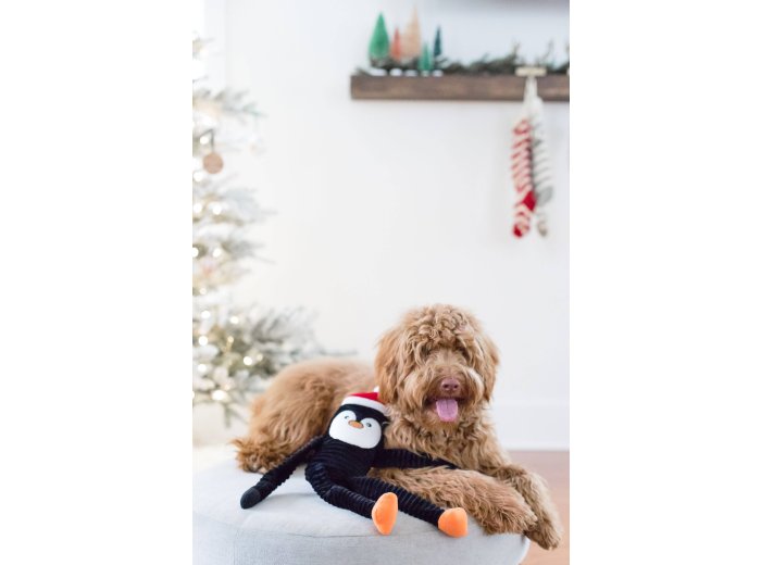 Holiday Crinkle - Penguin - Small - Happy Hour Crusherz - Holiday (3-pack) - Christmas Dog ToyDog Toy