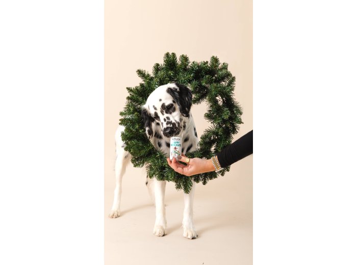 Holiday Mini Tube: Yappy Howlidays - Dog Treats
