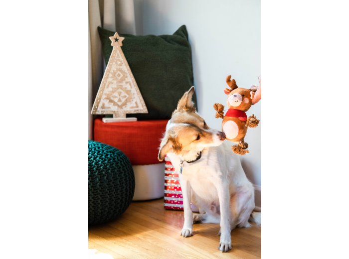 Reindeer Plush Rope Christmas Dog Toy