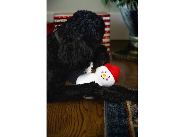 Snowman Plush Rope Christmas Dog Toy