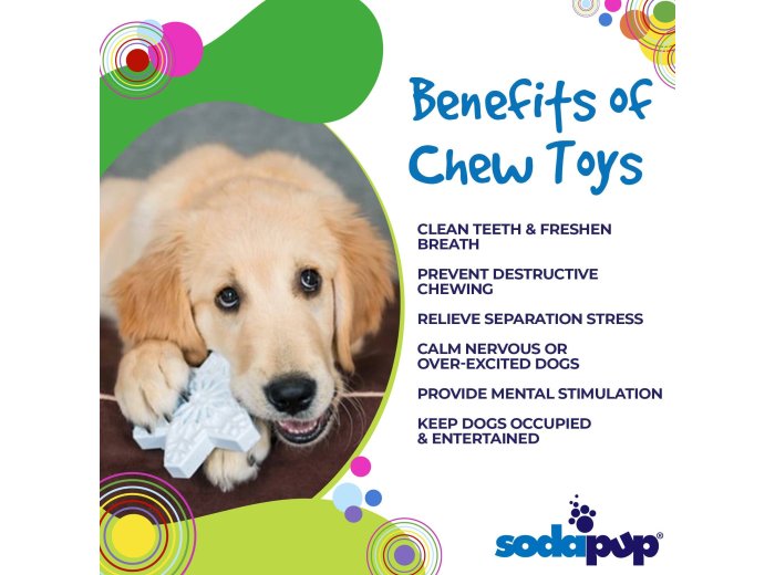 Snowflake Ultra Durable Christmas Nylon Dog Chew Toy