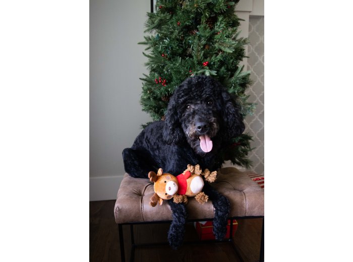Reindeer Plush Rope Christmas Dog Toy