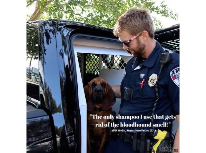 WHOLESALE DOG SHAMPOO + CONDITIONER FOX + HOUND ARGAN & AMBER