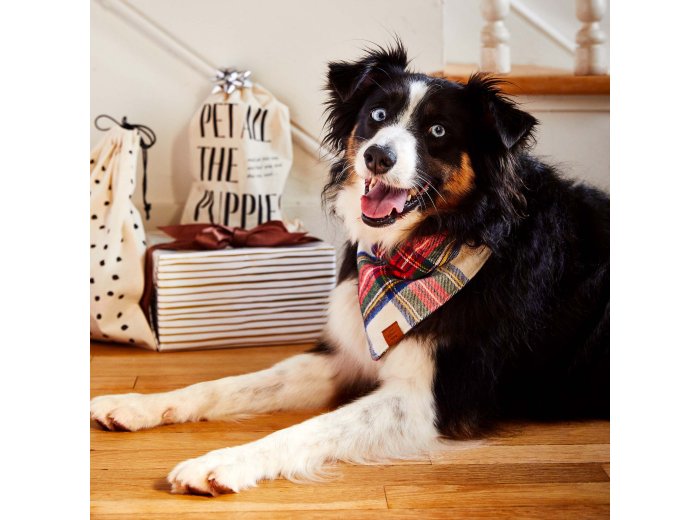 Regent Plaid Flannel Holiday Dog Bandana Small