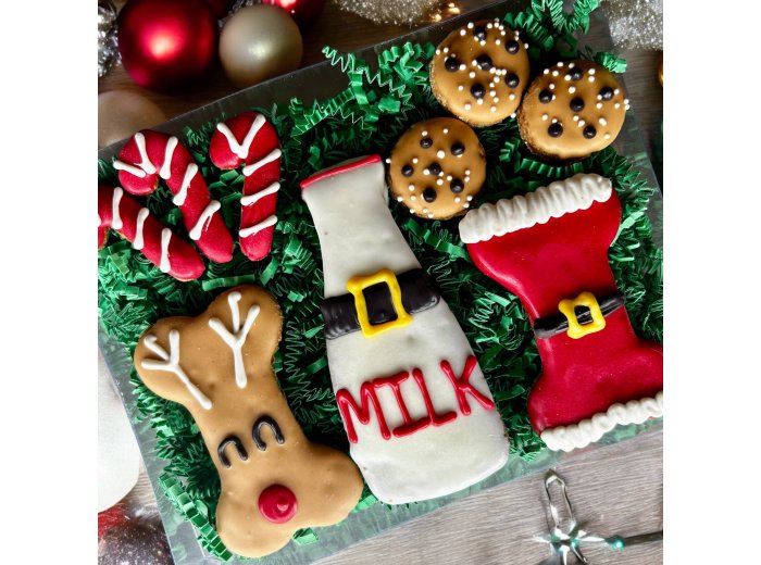 Treats for Santa Paws & Friends dog treats GIFT BOX