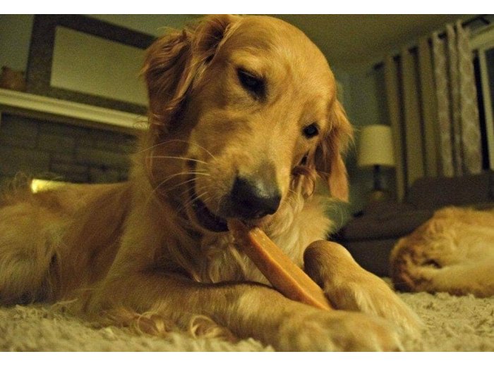 Gold Yak Dog Chews - 5 Pound Bag
