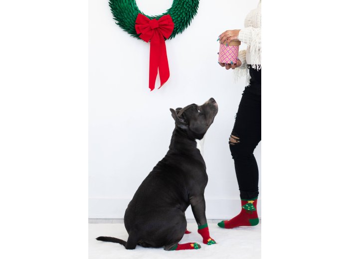 Human and Dog Matching Christmas Sock Set, Christmas Tree